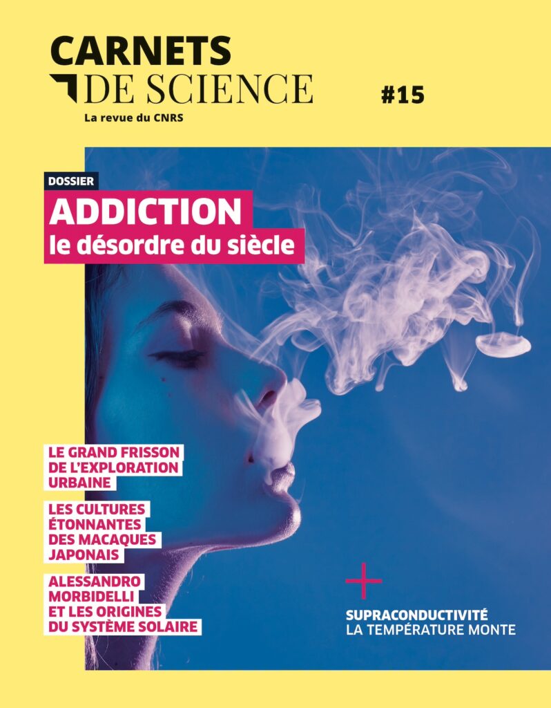 Carnets de Science - La nouvelle revue du CNRS. Un numéro tous les six  mois. Prenez le temps de comprendre.