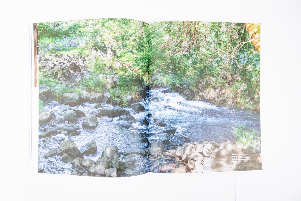 Carnets de Science #18