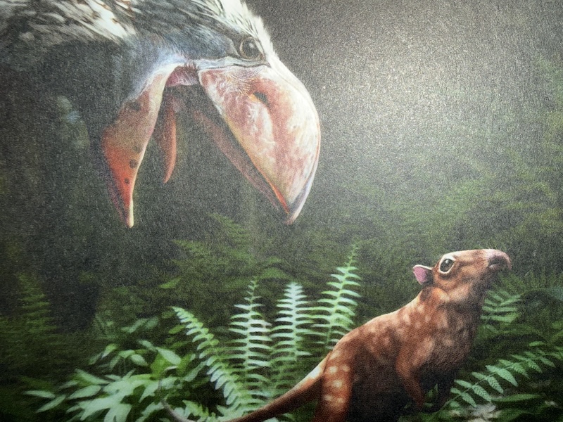 Quand le vivant était géant