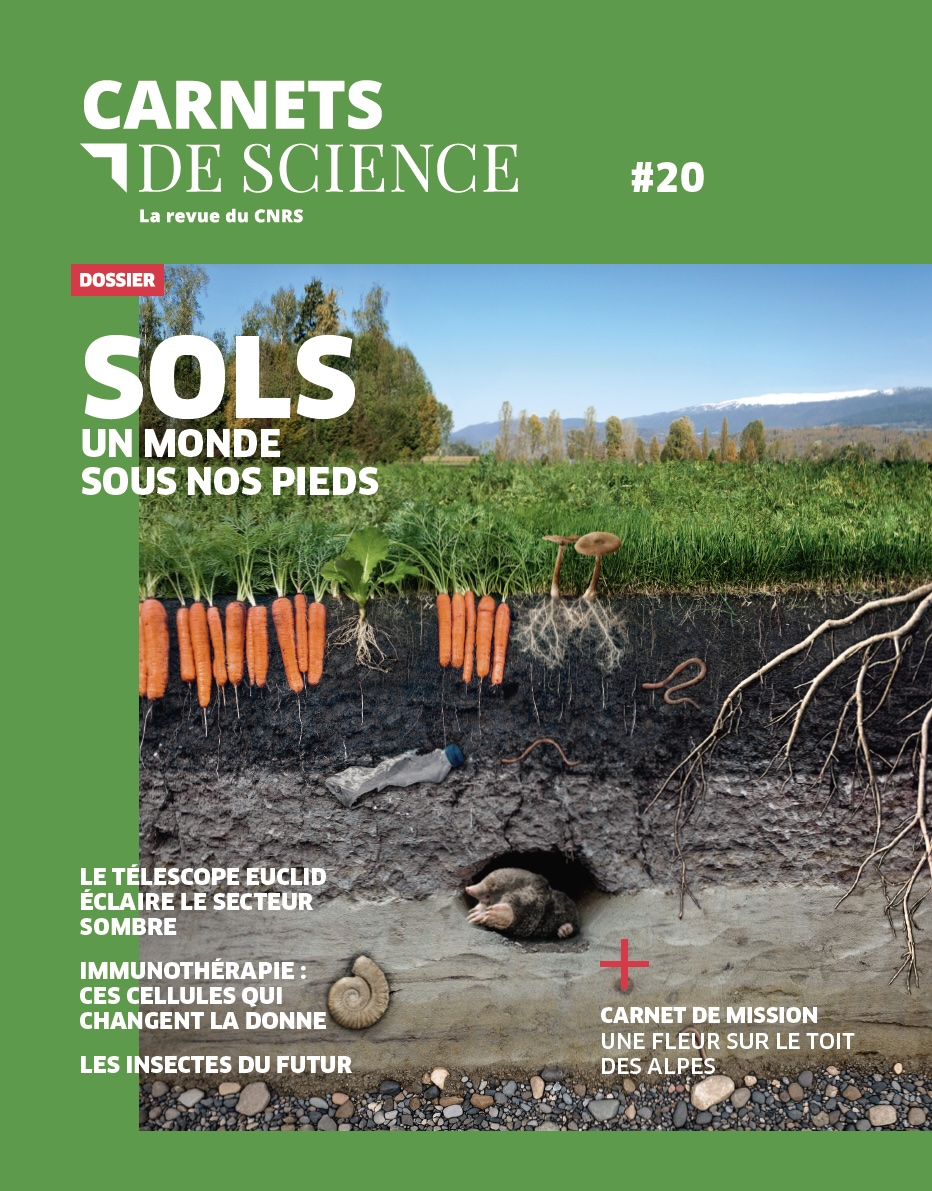 Carnets de Science #20