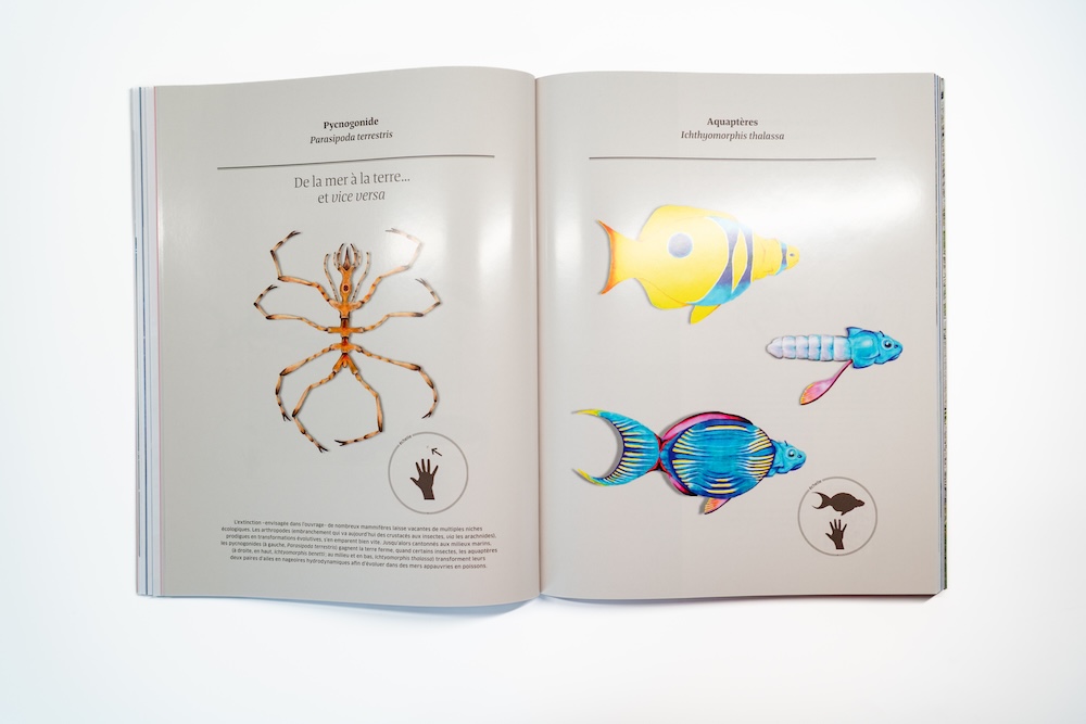 Carnets de Science #20