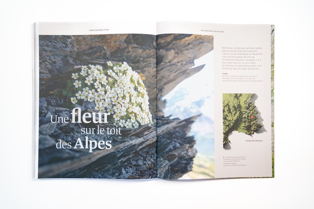 Carnets de Science #20